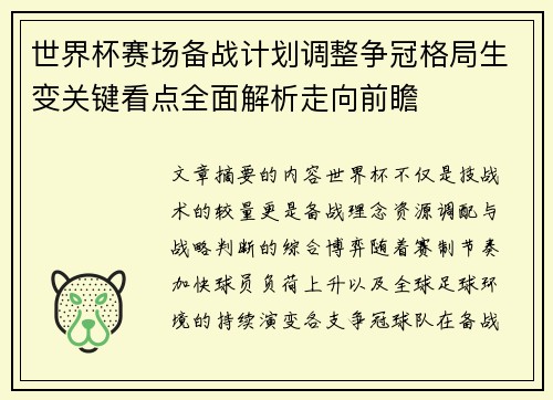 世界杯赛场备战计划调整争冠格局生变关键看点全面解析走向前瞻